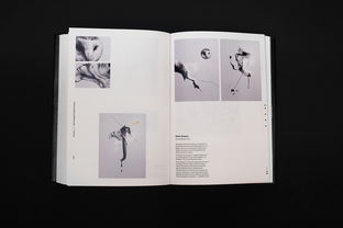 純凈邊境 《Pure North》書(shū)籍設(shè)計(jì)的美學(xué)探析