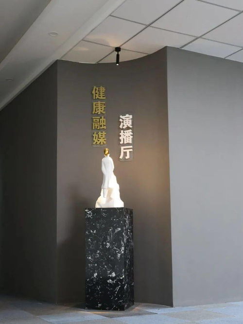 健康融媒演播廳正式上線 唱響健康好聲音，探索工藝美術品零售新方向